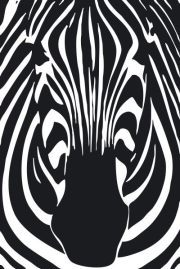 Zebra Products Join the British Showjumping Business Partnership Zebra Products Join the British Showjumping Business Partnership